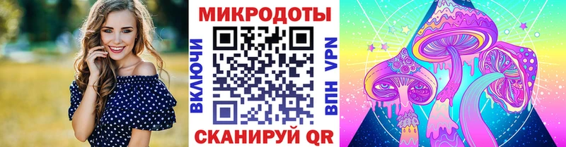 Псилоцибиновые грибы мухоморы  Купить где  Приволжск 